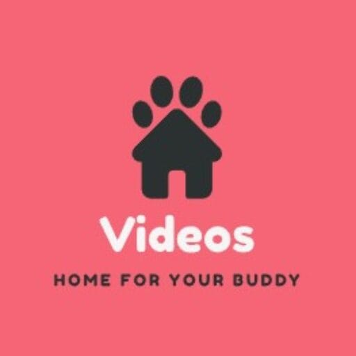 Video Yandex Jepang Bokep-terbaru